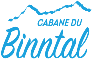 Logo_Site_Bleu